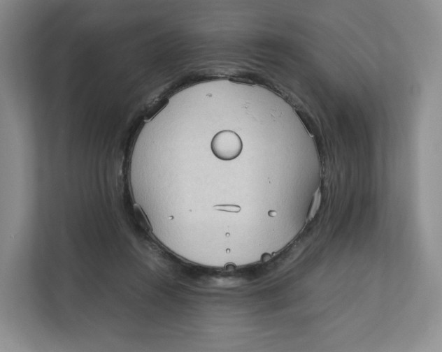 X0000111950360200908171322