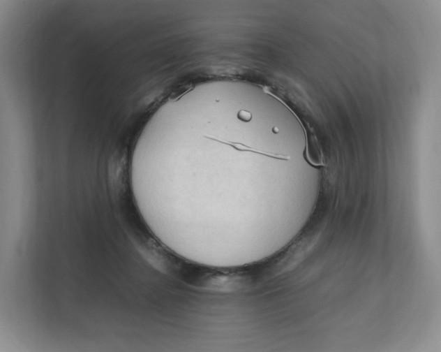 X0000111950364200908171322