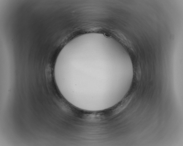 X0000111950366200908171322