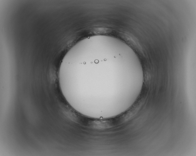 X0000111950367200908171322