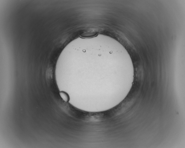 X0000111950368200908171322