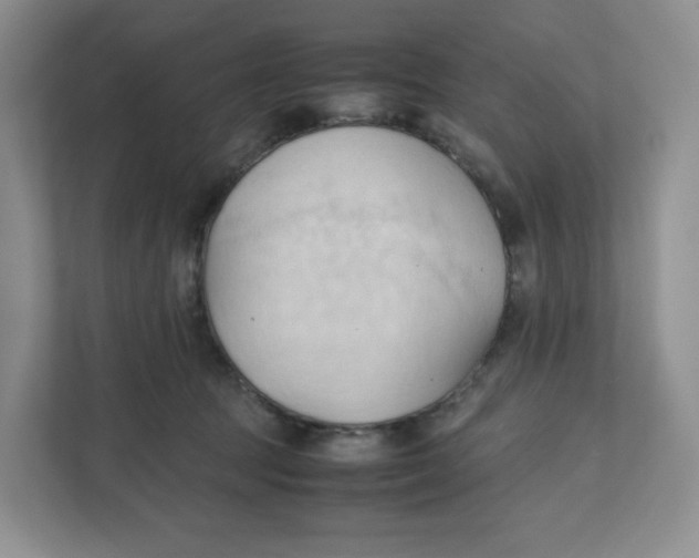 X0000111950369200908171322