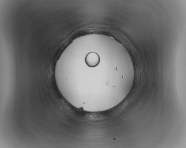 X0000111950372200908171323