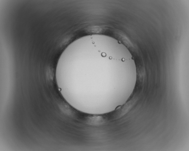 X0000111950374200908171323