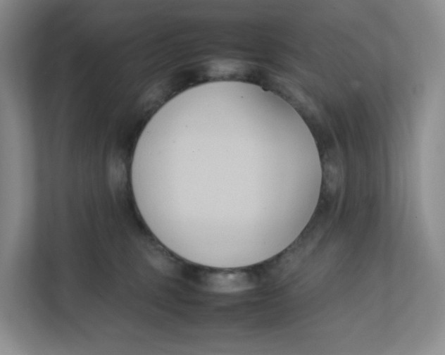 X0000111950375200908171323