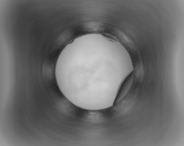 X0000111950376200908171323