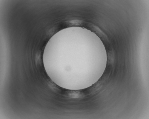 X0000111950377200908171323