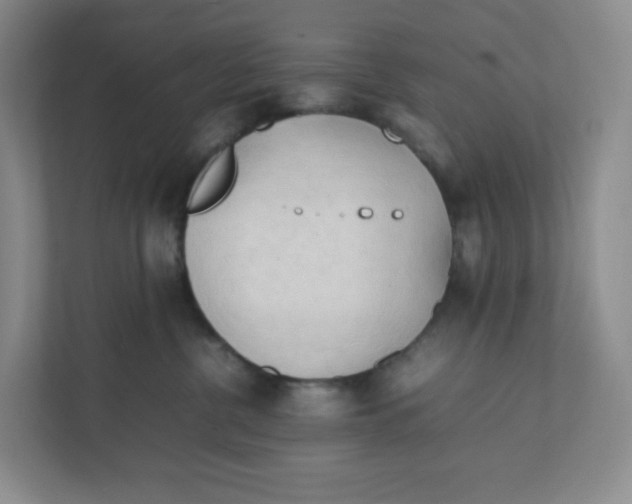 X0000111950380200908171323