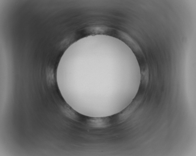 X0000111950381200908171323