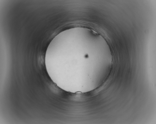 X0000111950382200908171323