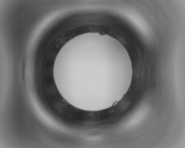 X0000111950383200908171323