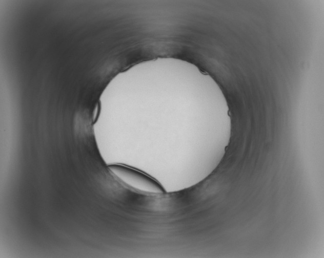 X0000111950384200908171323