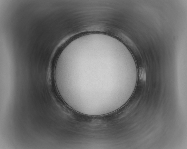 X0000111950388200908171322