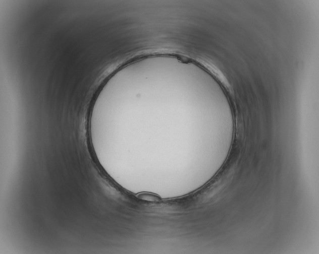 X0000111950389200908171322