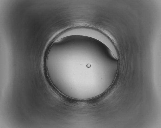 X0000111950391200908171322