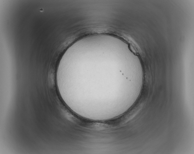 X0000111950393200908171322