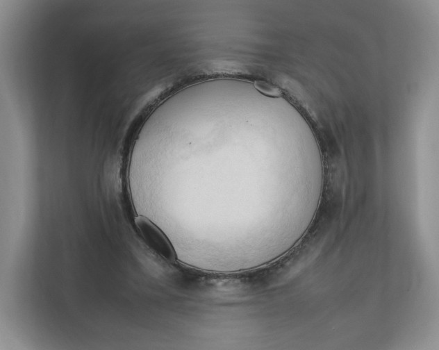 X0000111950395200908171322