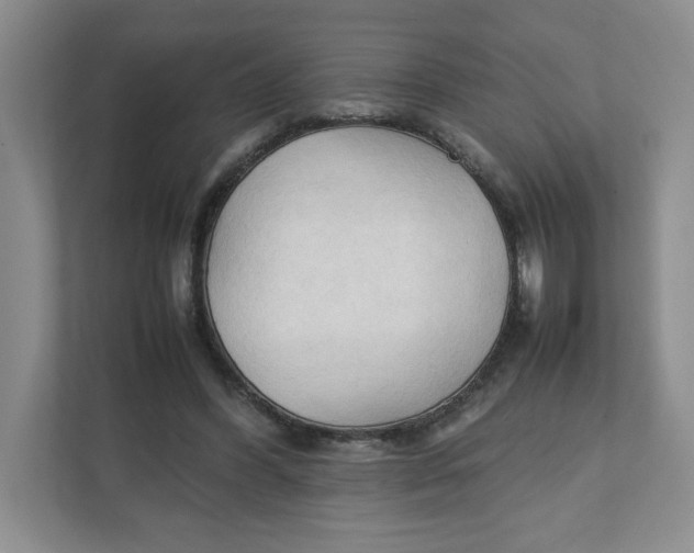 X0000111950396200908171322