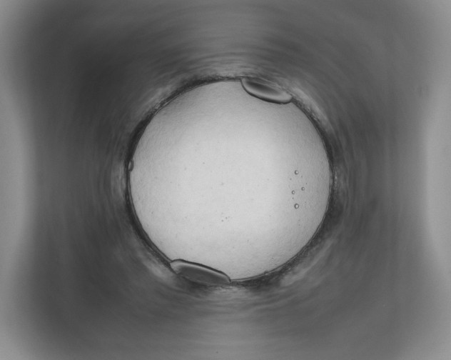 X0000111950397200908171322