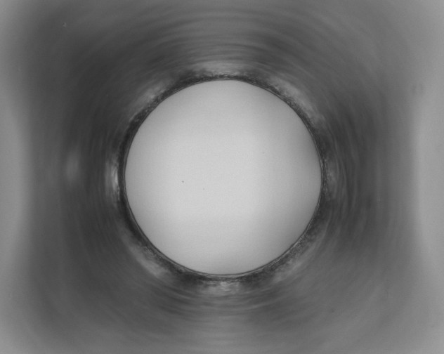 X0000111950398200908171322