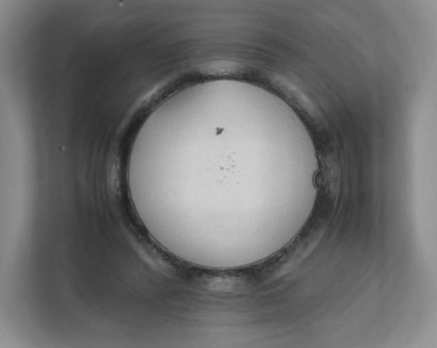 X0000111950400200908171322