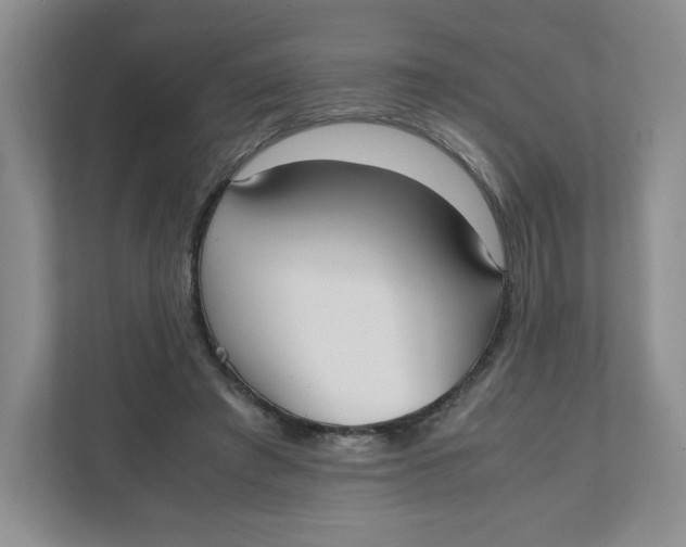 X0000111950401200908171322