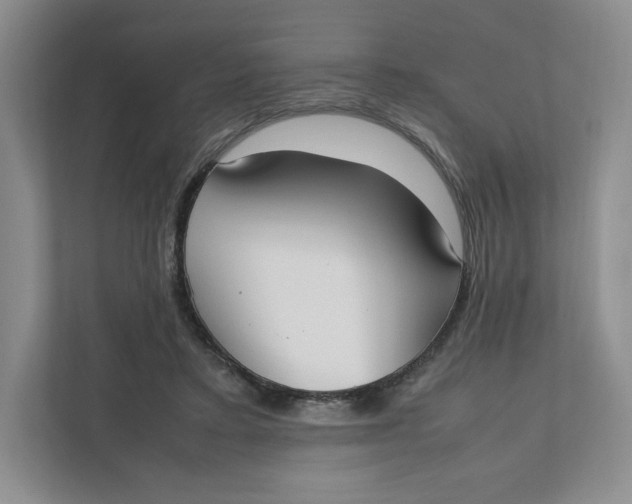 X0000111950403200908171322