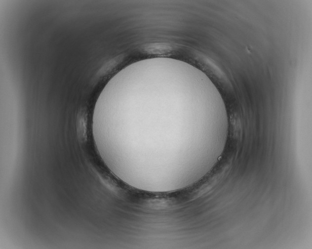 X0000111950404200908171322