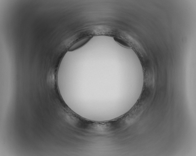 X0000111950405200908171322