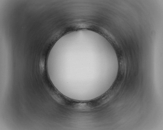 X0000111950406200908171322