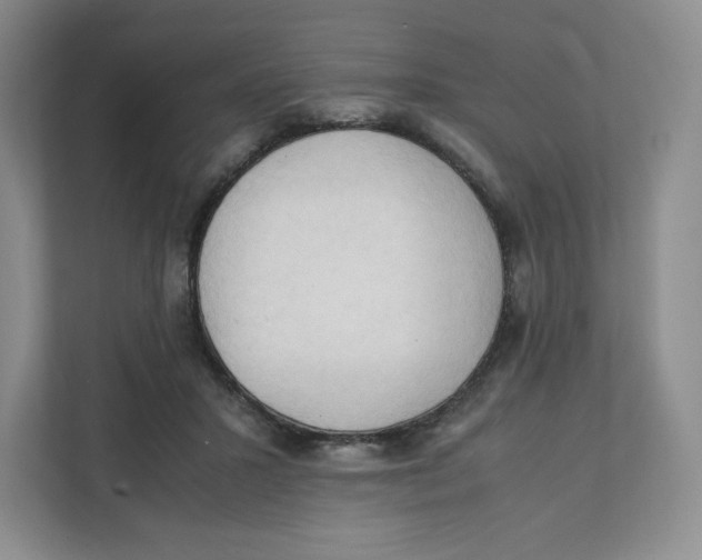 X0000111950407200908171322