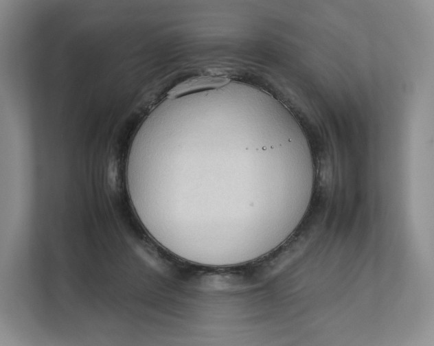 X0000111950408200908171322