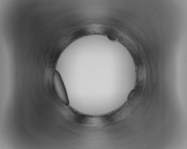 X0000111950409200908171322