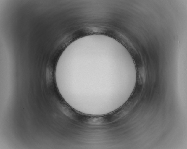 X0000111950410200908171322