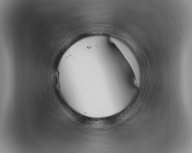 X0000111950411200908171322