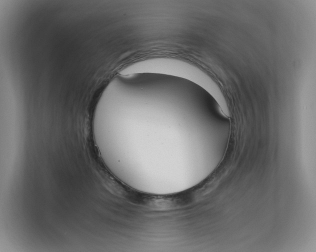 X0000111950413200908171322