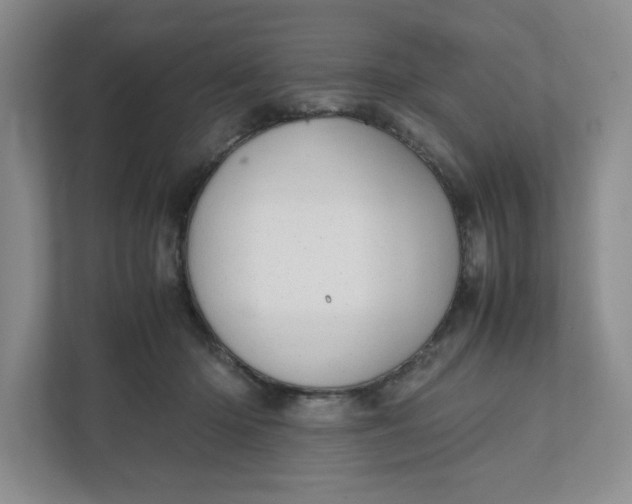 X0000111950414200908171322