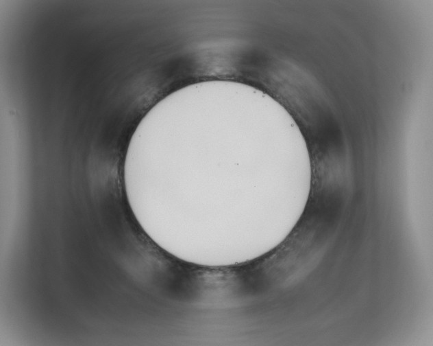 X0000111950415200908171322