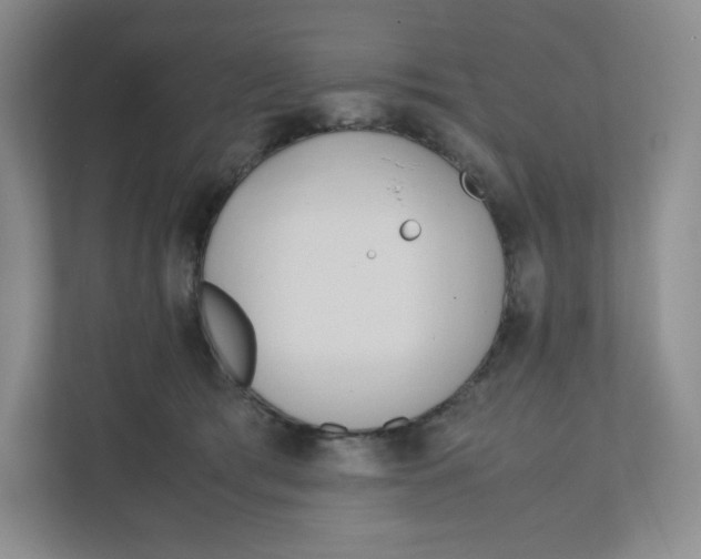 X0000111950417200908171322