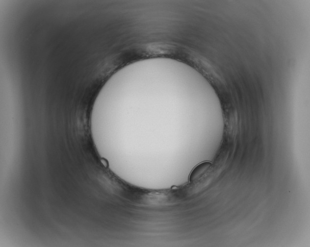 X0000111950418200908171322