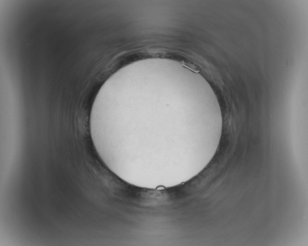 X0000111950421200908171322