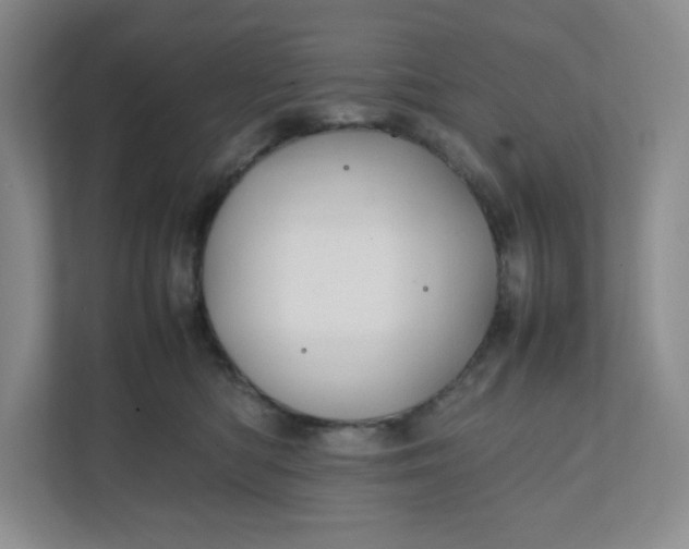 X0000111950422200908171322