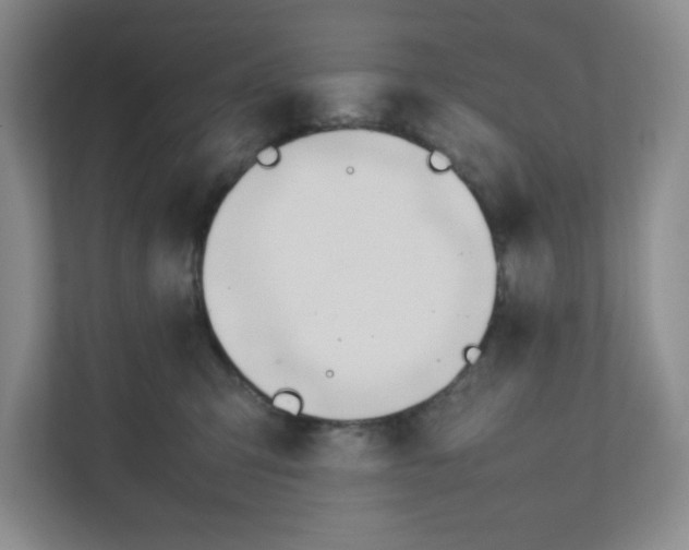 X0000111950423200908171322