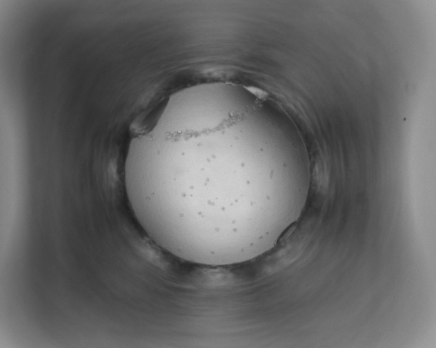 X0000111950424200908171322