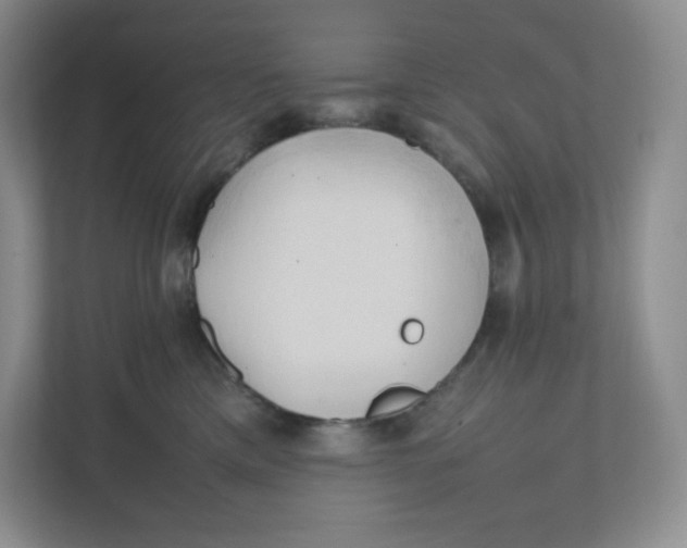 X0000111950425200908171322