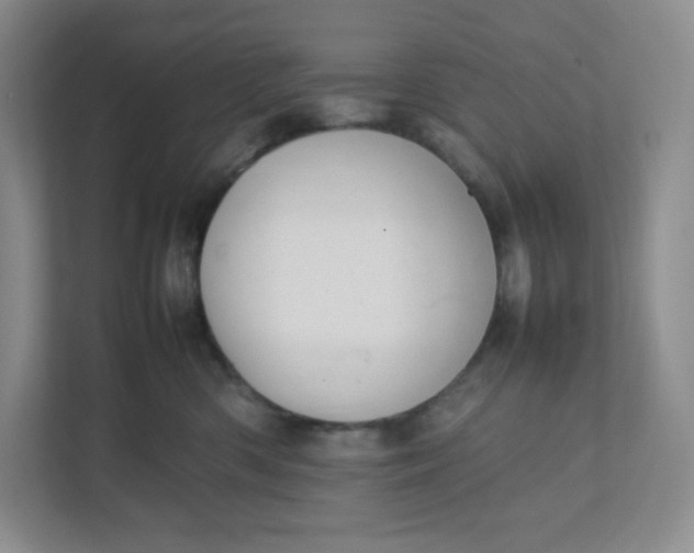 X0000111950426200908171321