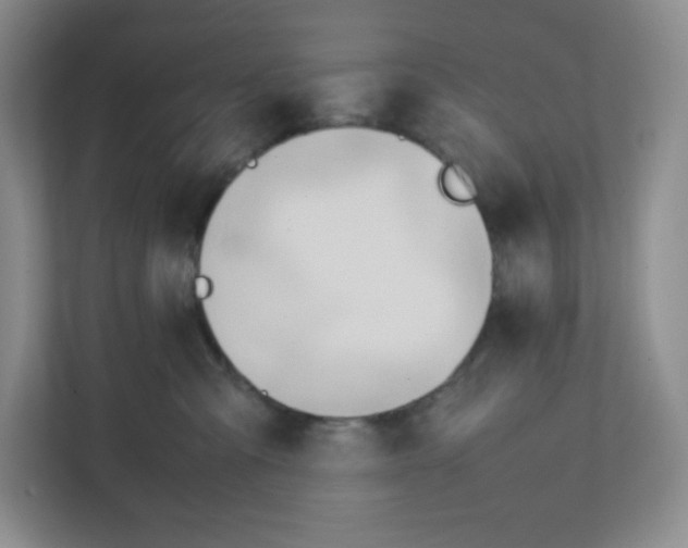 X0000111950427200908171321