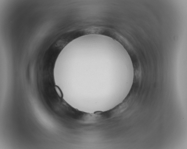 X0000111950429200908171321