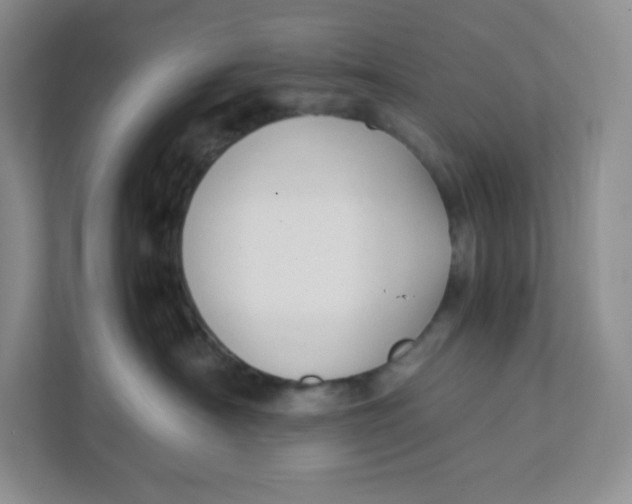 X0000111950430200908171321