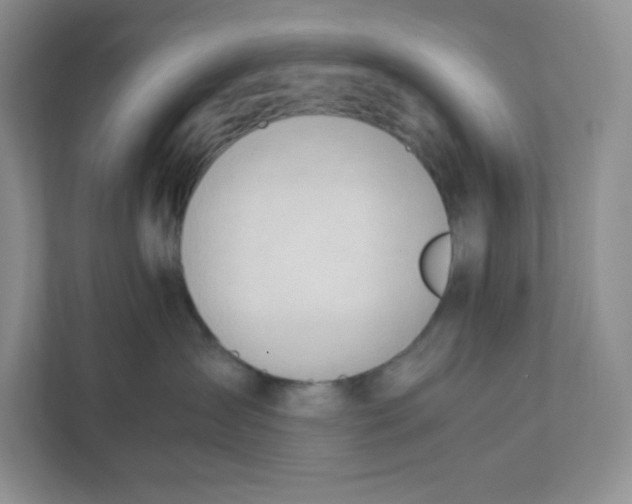 X0000111950431200908171321